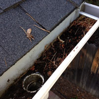 Gutter Cleaning