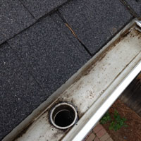 Gutter Cleaning